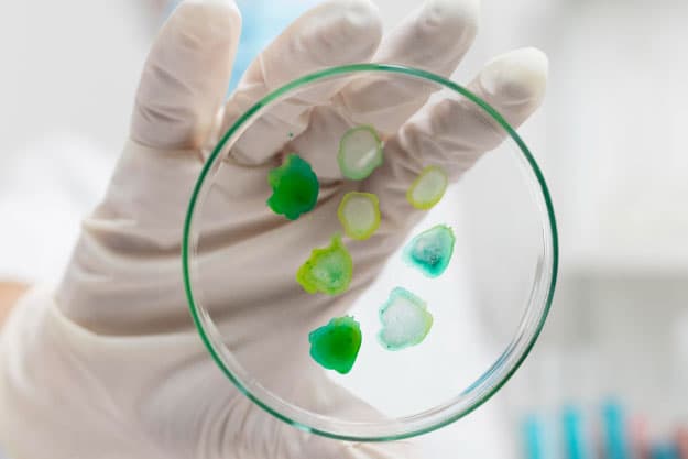 ¿Y si los antibióticos dejaran de funcionar? La amenaza real de la resistencia antimicrobiana ¿Y si los antibióticos dejaran de funcionar? La amenaza real de la resistencia antimicrobiana