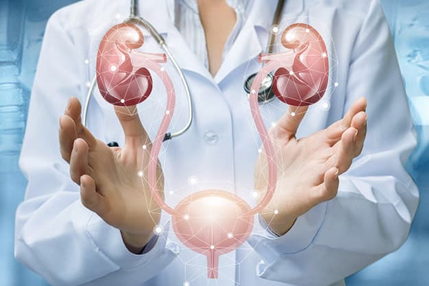 cómo prevenir la enfermedad renal cómo prevenir la enfermedad renal