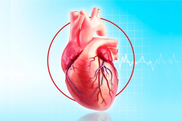banner blog shaio: Ergoespirometría, una prueba que puede evaluar el estado de su corazón  banner blog shaio: Ergoespirometría, una prueba que puede evaluar el estado de su corazón