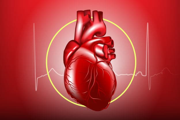 blog vital Nodo sinusal: donde nace el impulso eléctrico del corazón