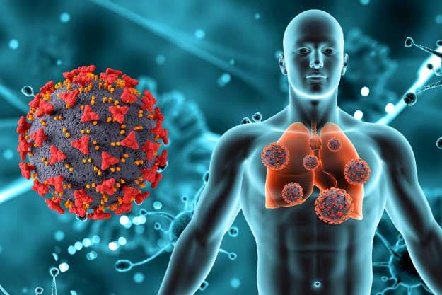 imagen 3d de pulmones