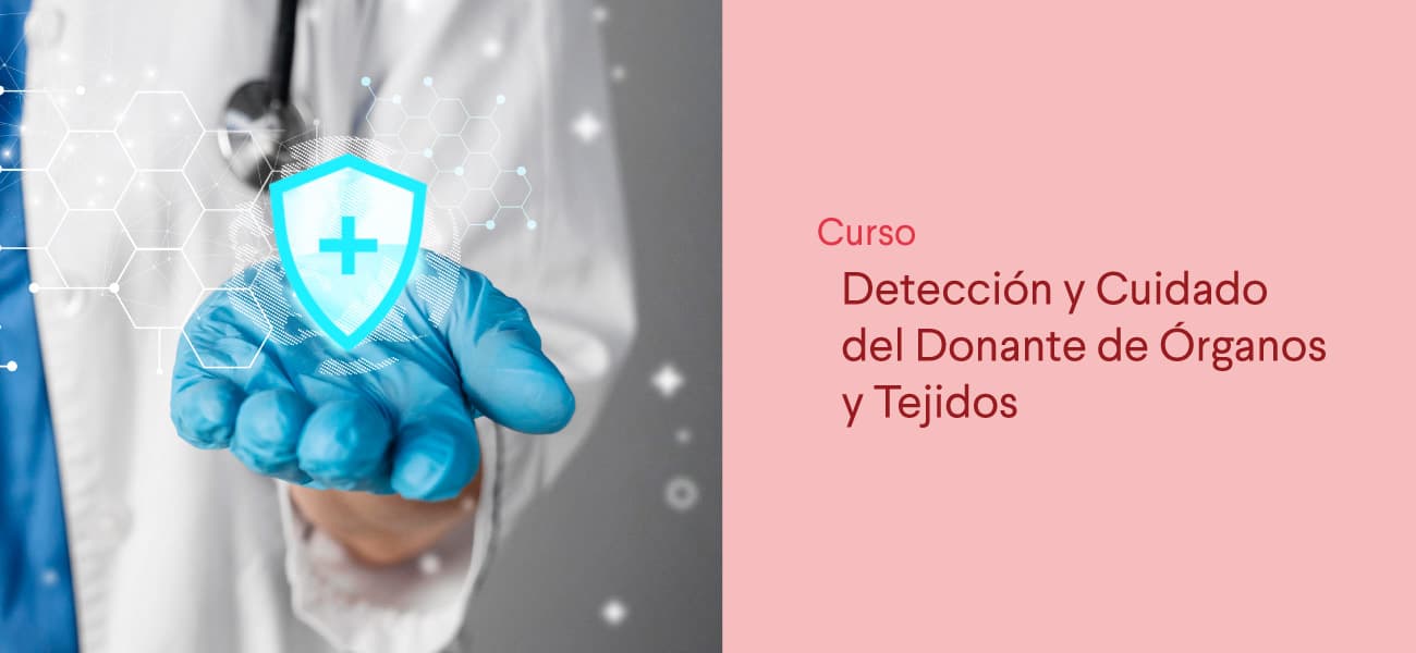 banner prensa: Curso Detección y cuidado del donante de órganos y tejidos. banner prensa: Curso Detección y cuidado del donante de órganos y tejidos.