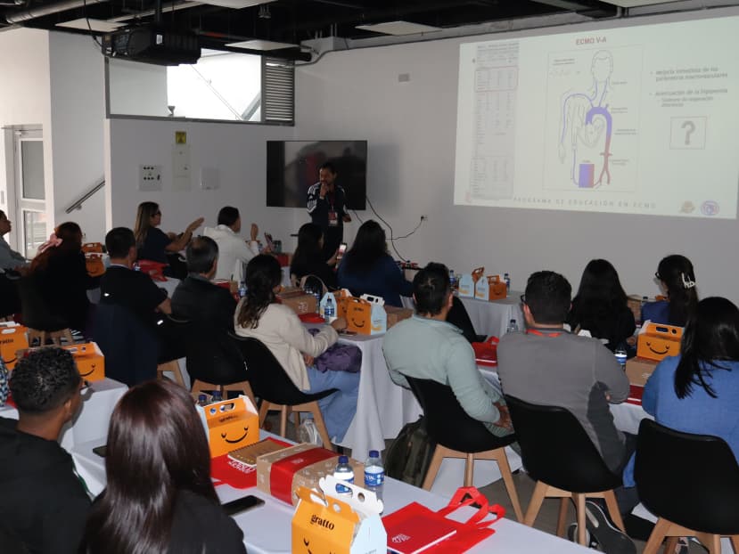 Galería de fotos Galería de fotos