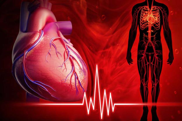 Se puede calcular el riesgo cardiovascular? I Shaio